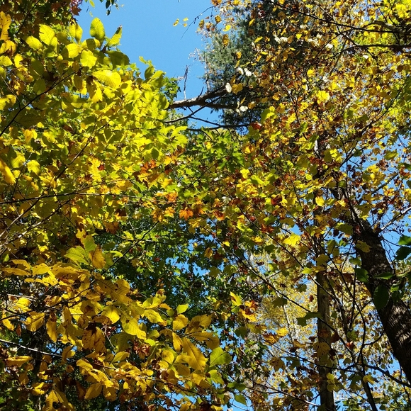 Meet your Posher, Chelsey - Picture 11 of 16